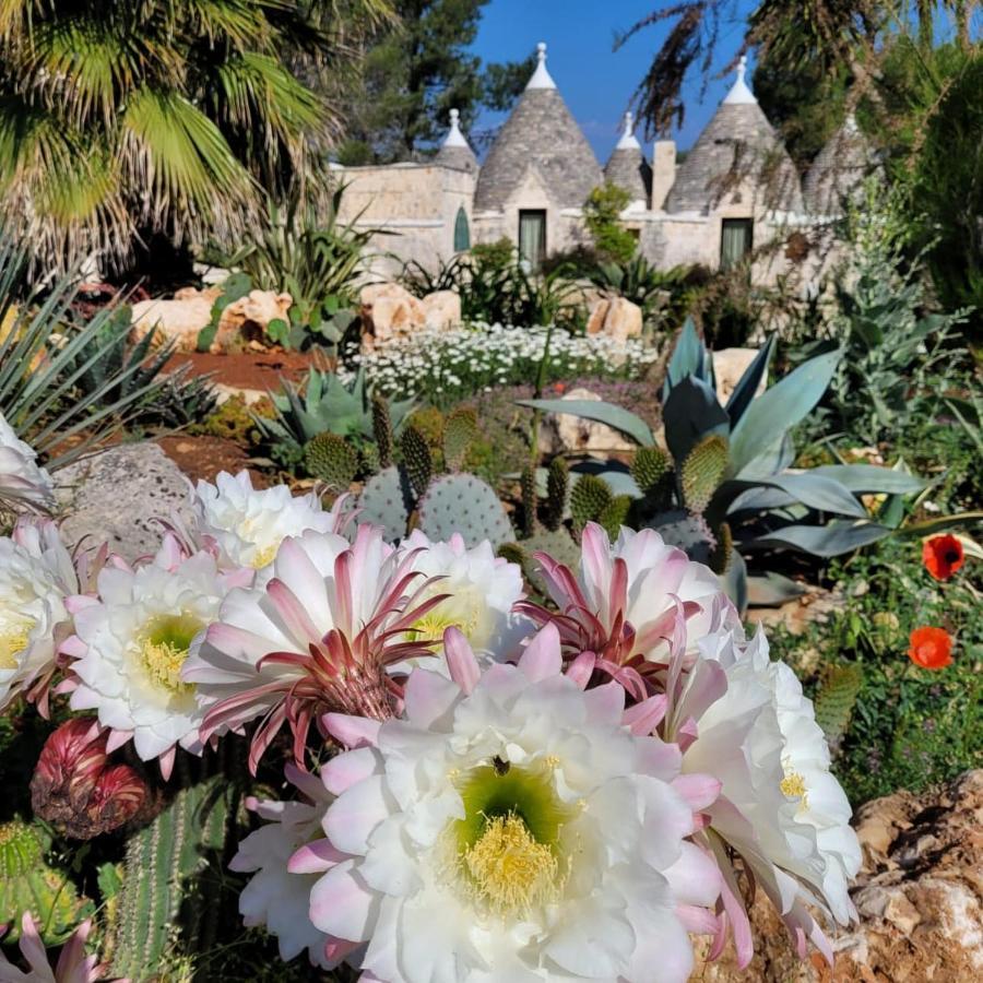 Trullo Bosco Libero Ostuni Villa Luaran gambar