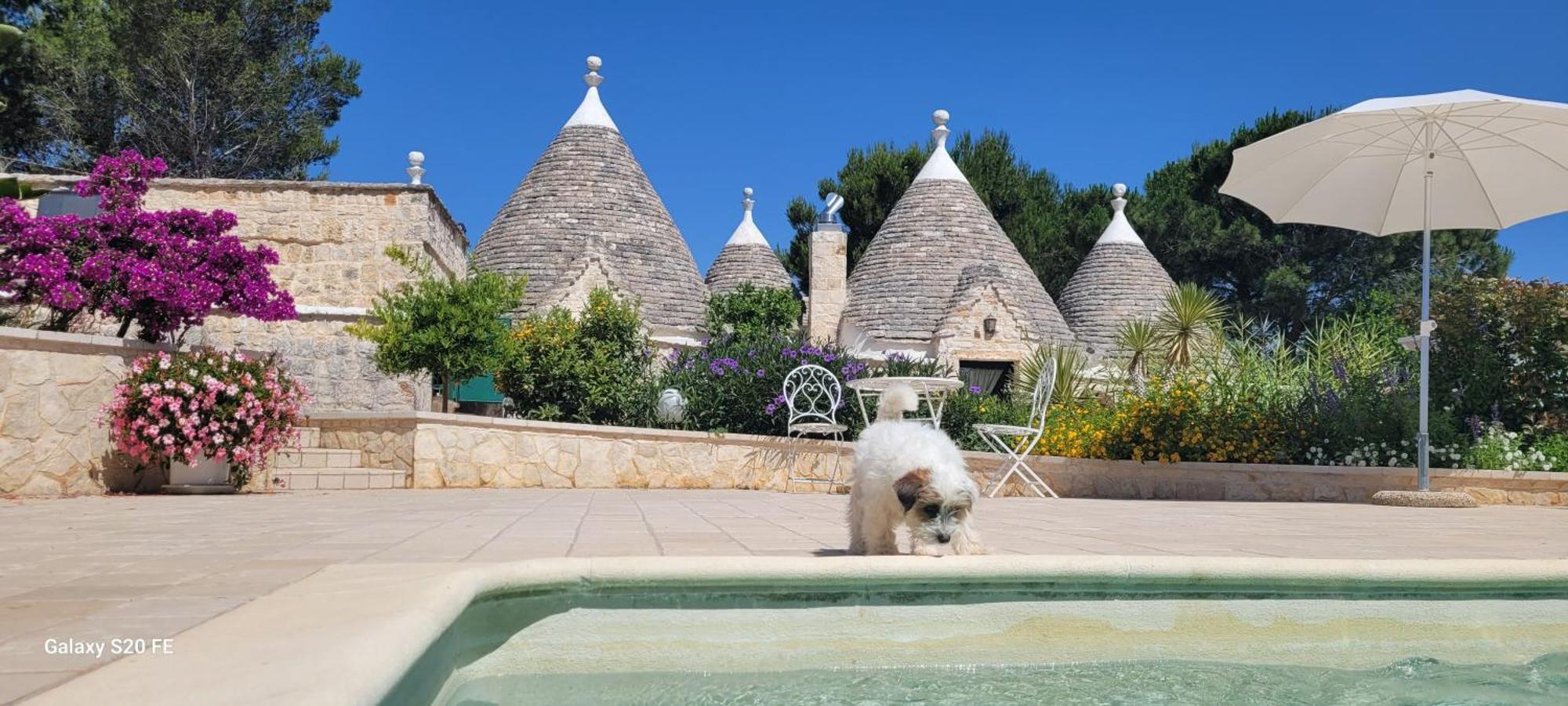 Trullo Bosco Libero Ostuni Villa Luaran gambar